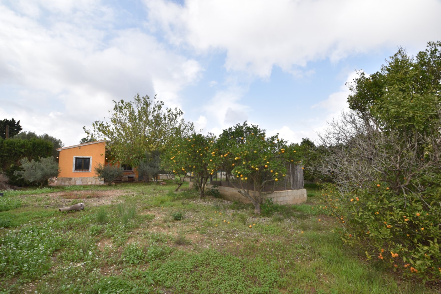  Chalet en venta directa con Plusvillas – C36111* – Villa con 4 dormitorios y 1 baños en Javea, (Costa Blanca), zona  