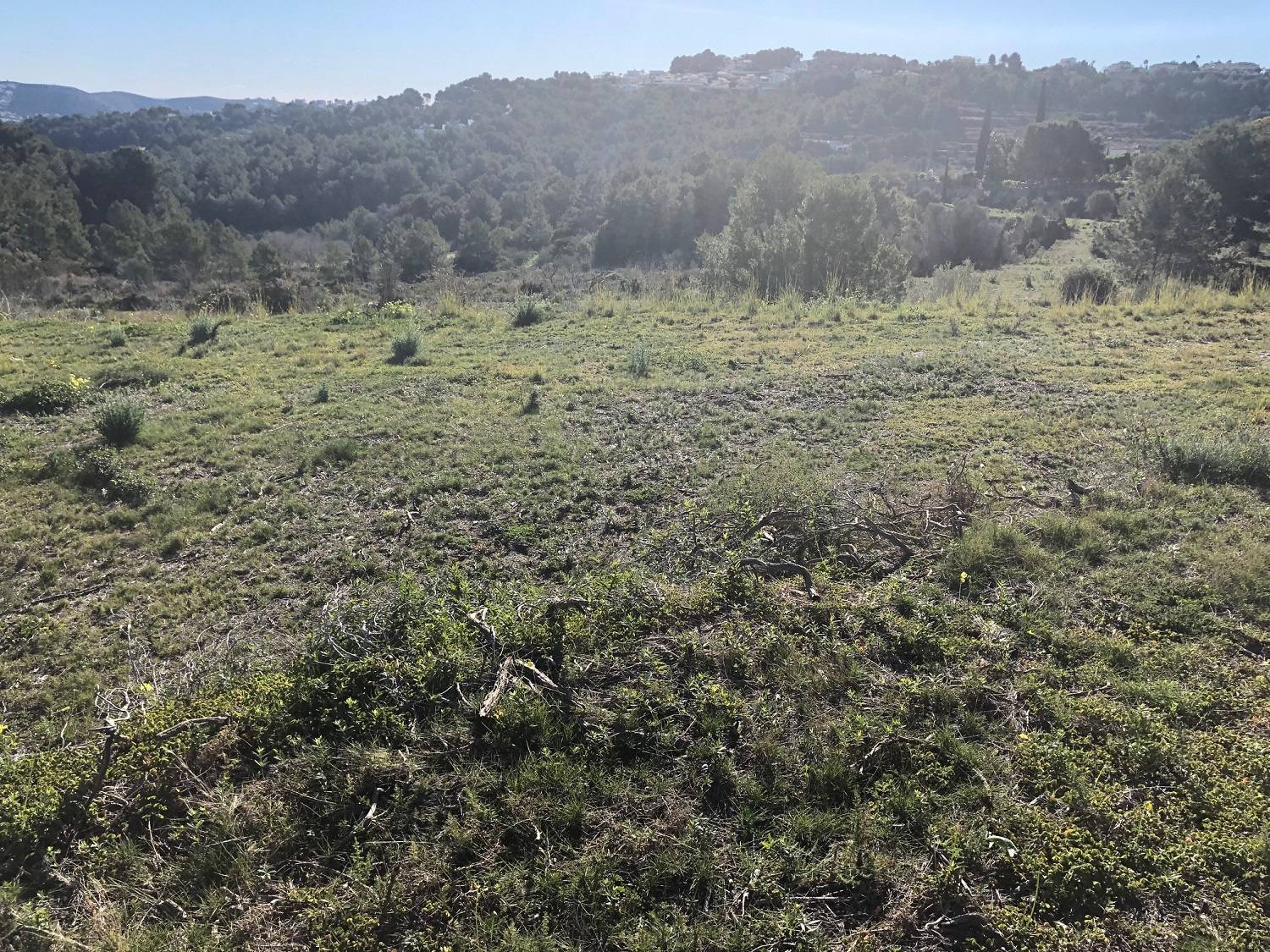  Parcela en venta directa con Plusvillas – C6025* – Parcela de 18127 m2 en Teulada, (Costa Blanca), zona  