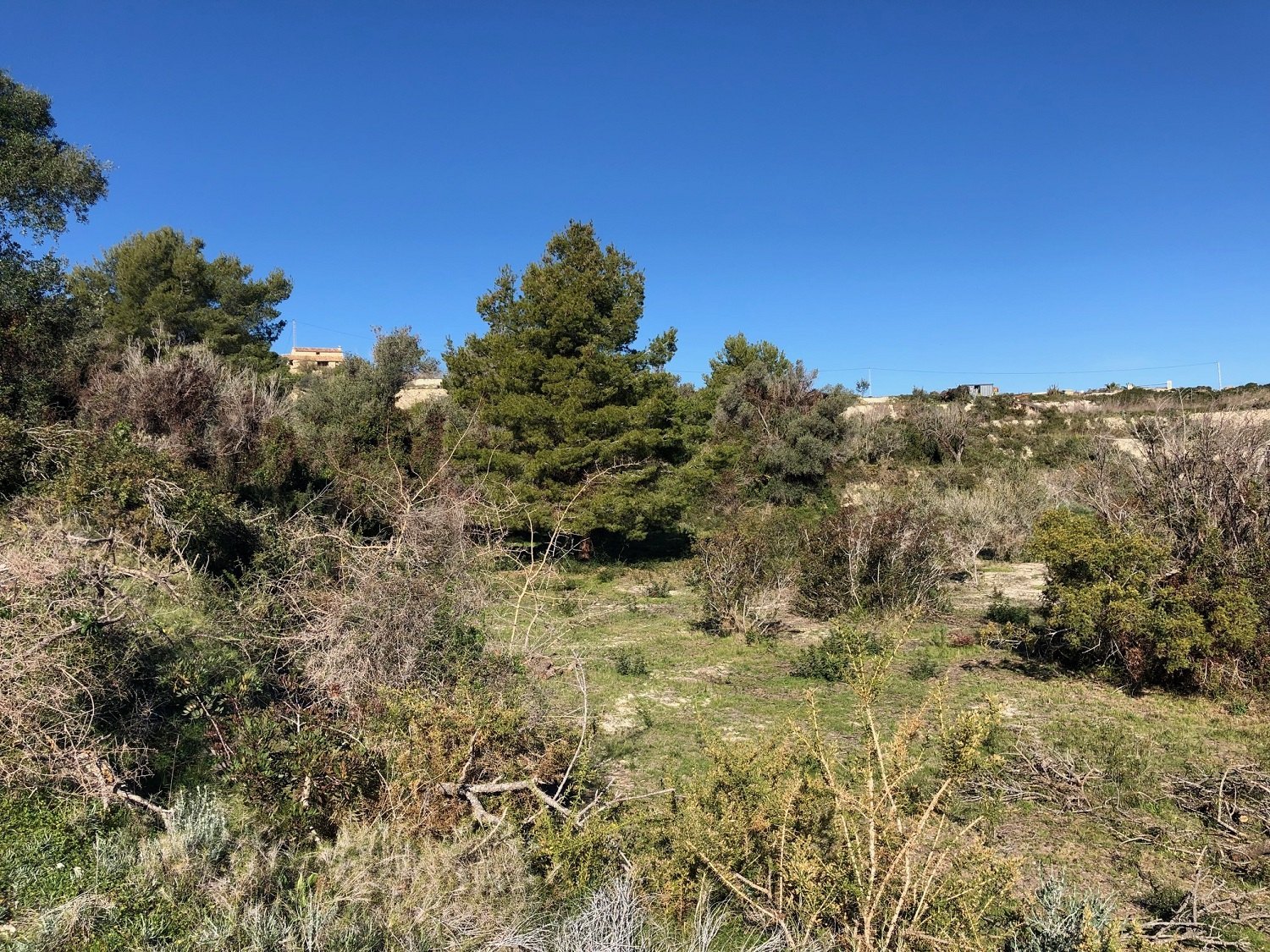  Parcela en venta directa con Plusvillas – C6025* – Parcela de 18127 m2 en Teulada, (Costa Blanca), zona  