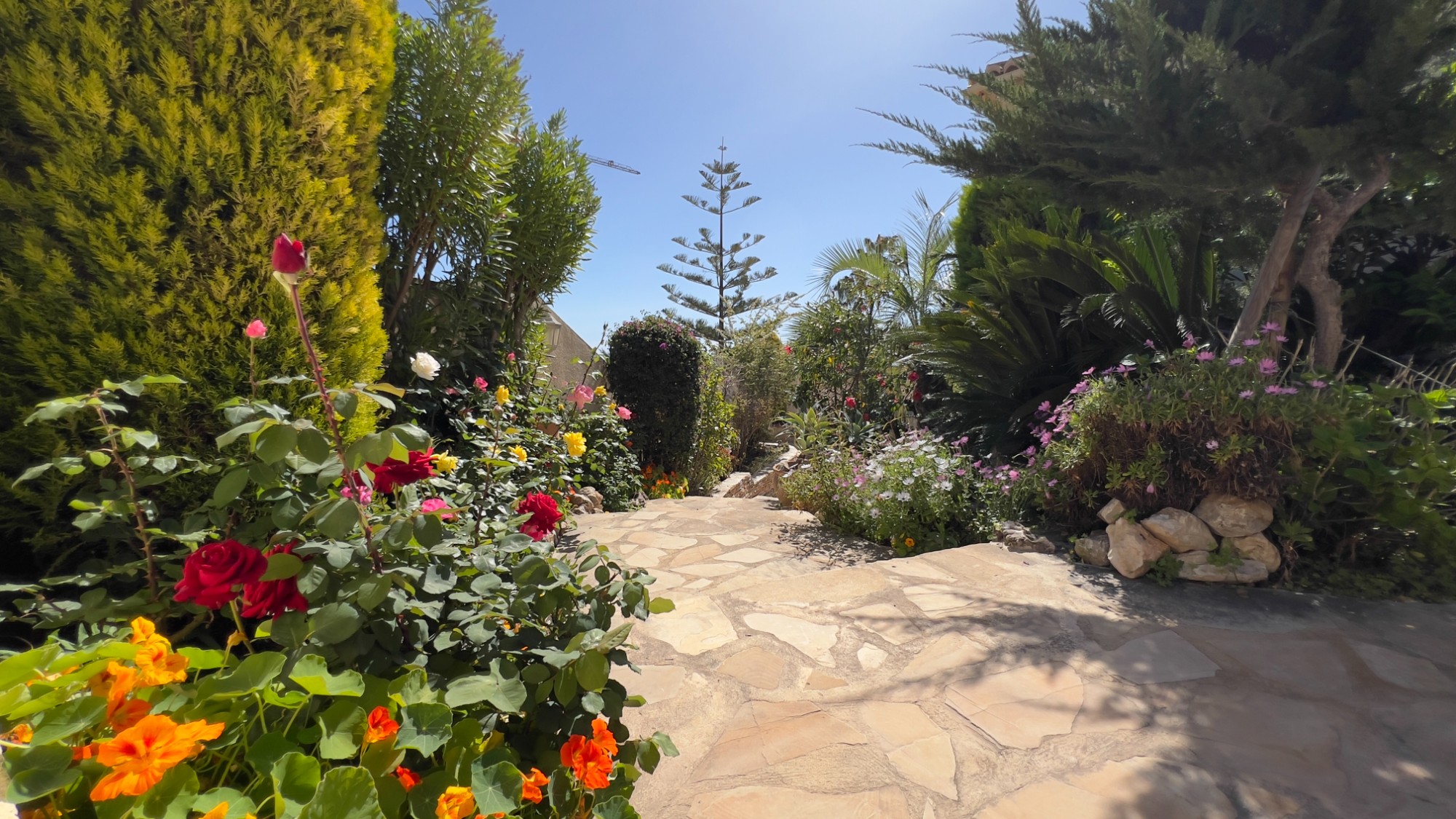  Chalet en venta directa con Plusvillas – C4152* – Villa con 5 dormitorios y 5 baños en Calpe, (Costa Blanca), zona Calpe 