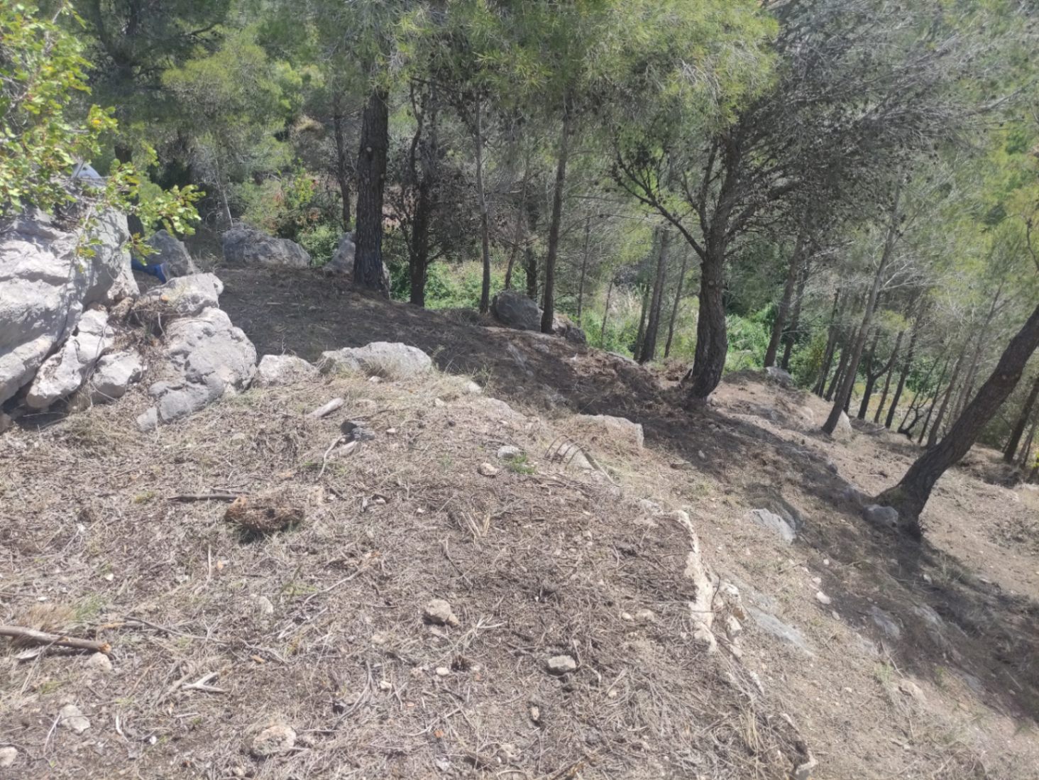  Chalet en venta directa con Plusvillas – C27020* – Villa con 4 dormitorios y 6 baños en Altea, (Costa Blanca), zona Altea Hills 