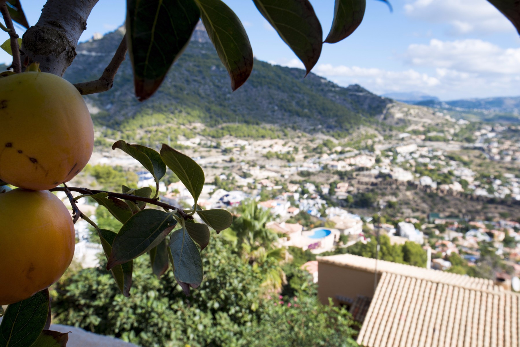  Chalet en venta directa con Plusvillas – C5386* – Villa con 4 dormitorios y 3 baños en Calpe, (Costa Blanca), zona Maryvilla 