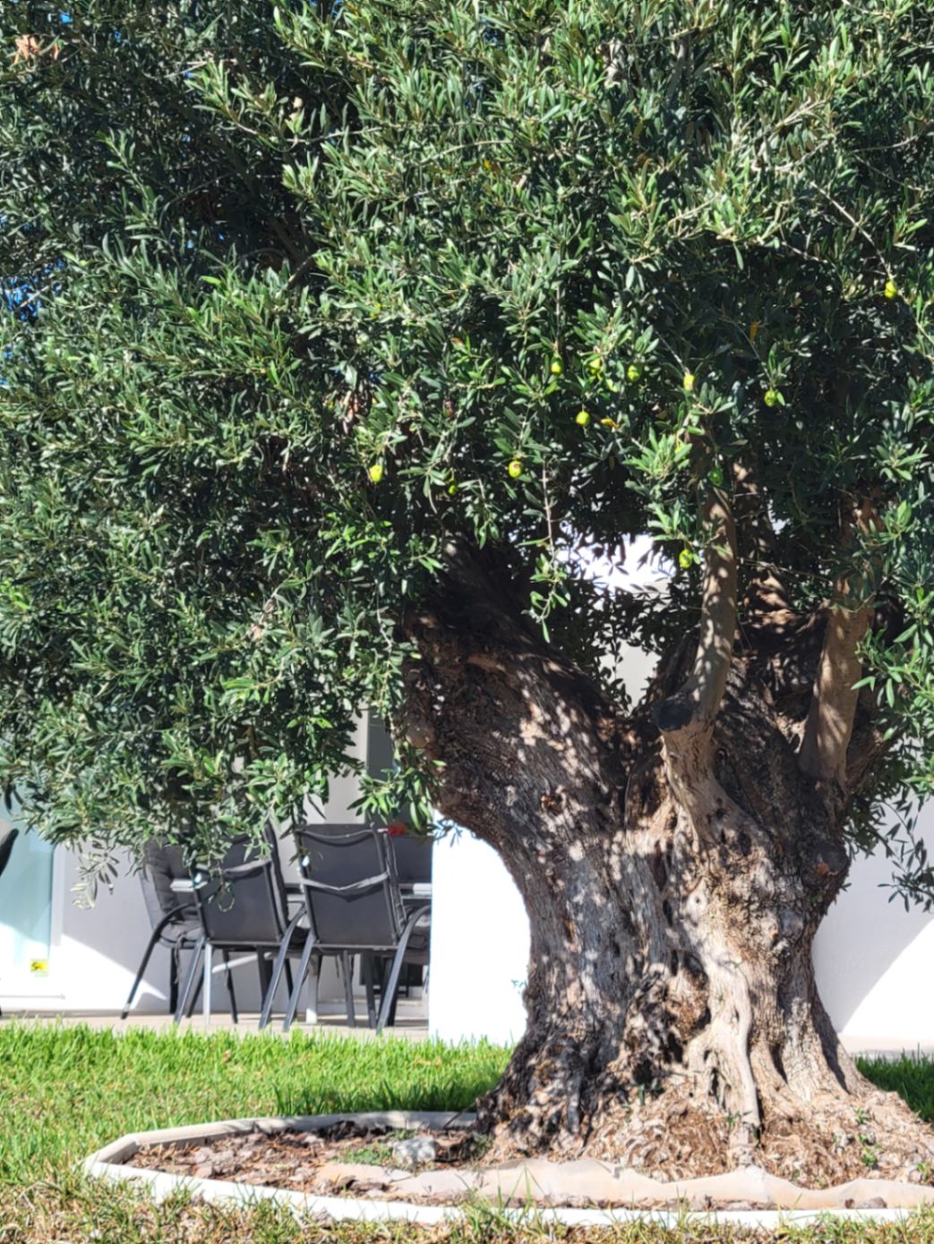  Chalet en venta directa con Plusvillas – C34020* – Villa con 3 dormitorios y 3 baños en Calpe, (Costa Blanca), zona Gran Sol 