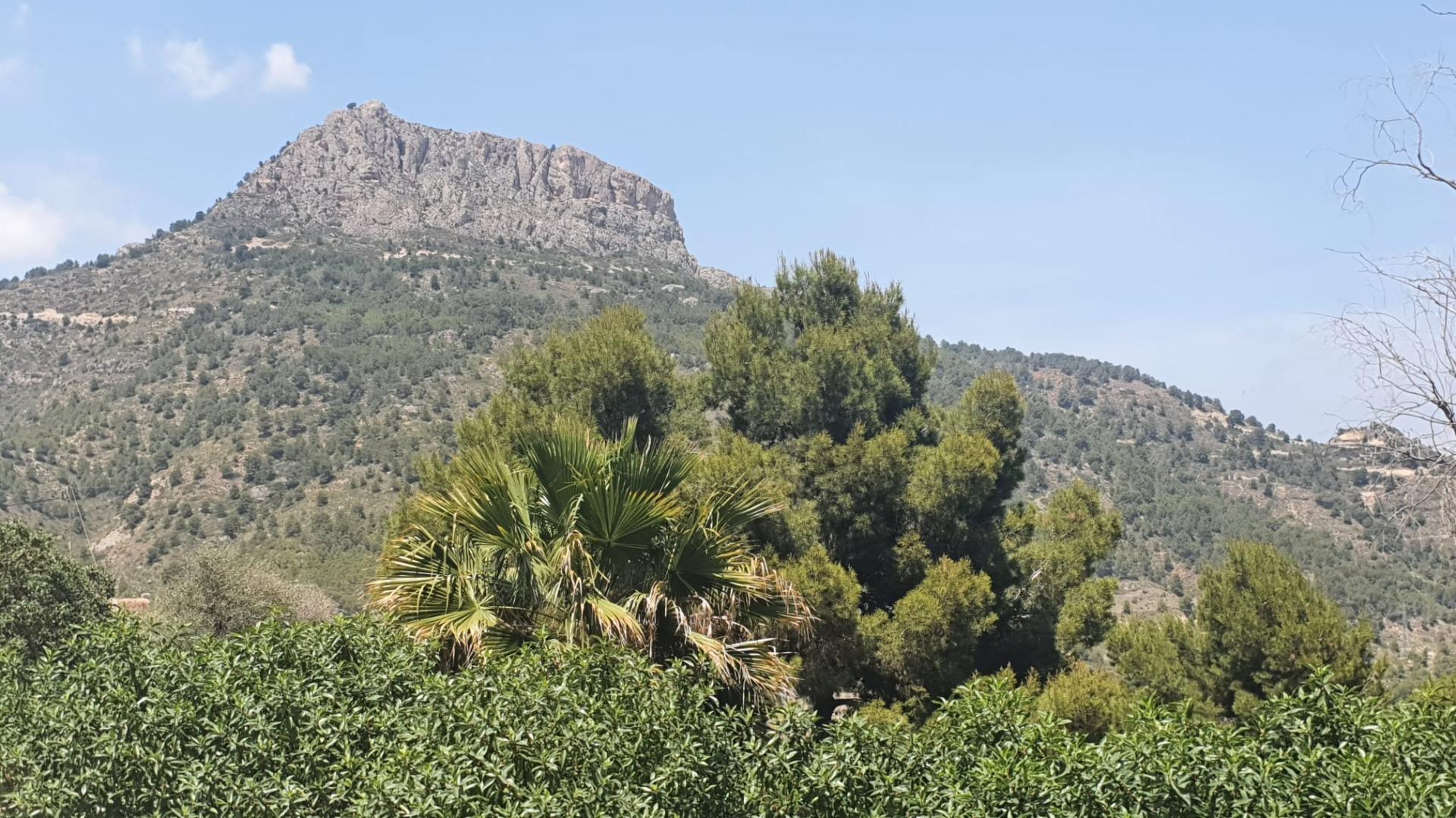  Chalet en venta directa con Plusvillas – C23100* – Villa con 8 dormitorios y 8 baños en Calpe, (Costa Blanca), zona Maryvilla 