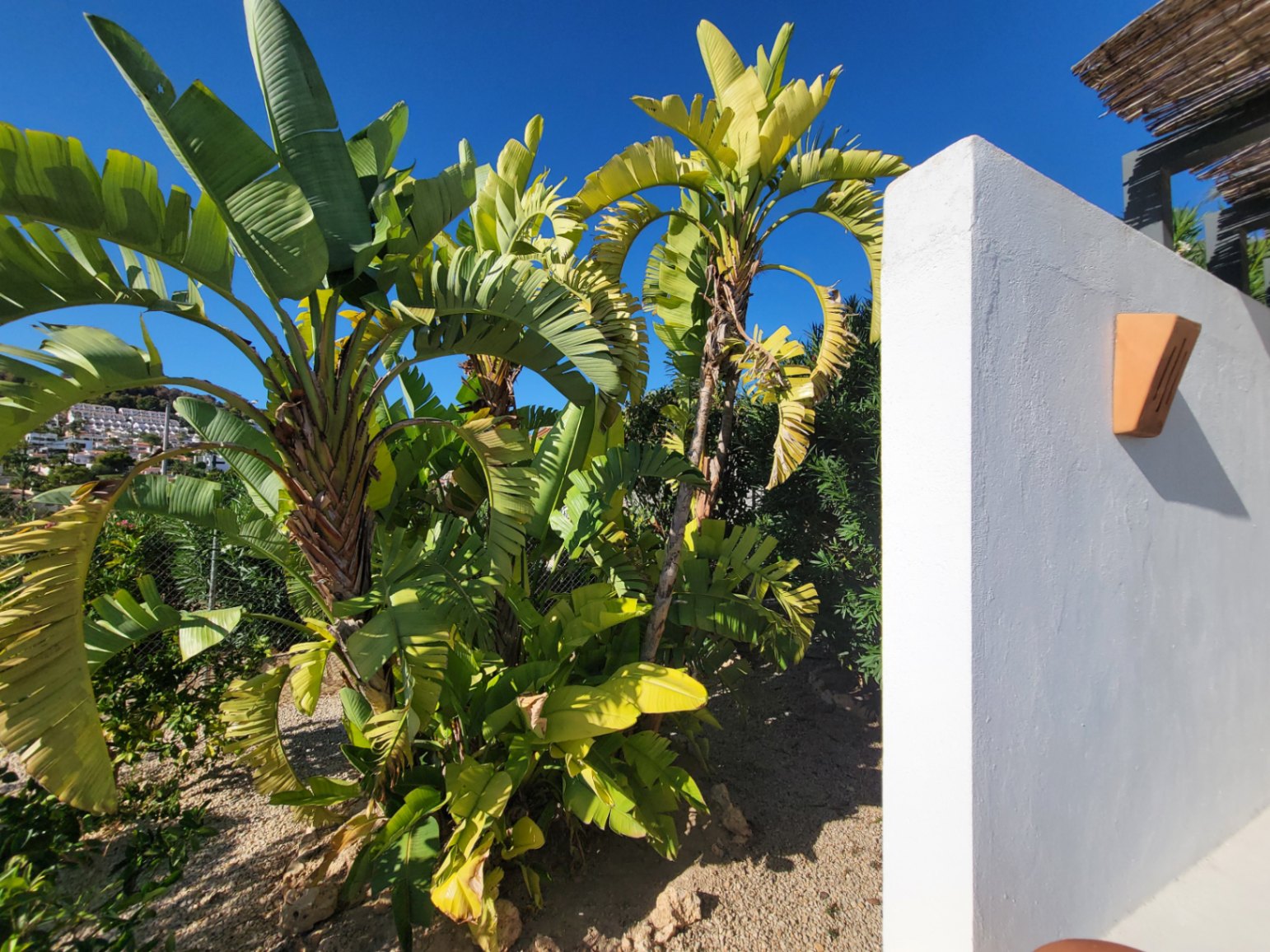  Chalet en venta directa con Plusvillas – C34020* – Villa con 3 dormitorios y 3 baños en Calpe, (Costa Blanca), zona Gran Sol 