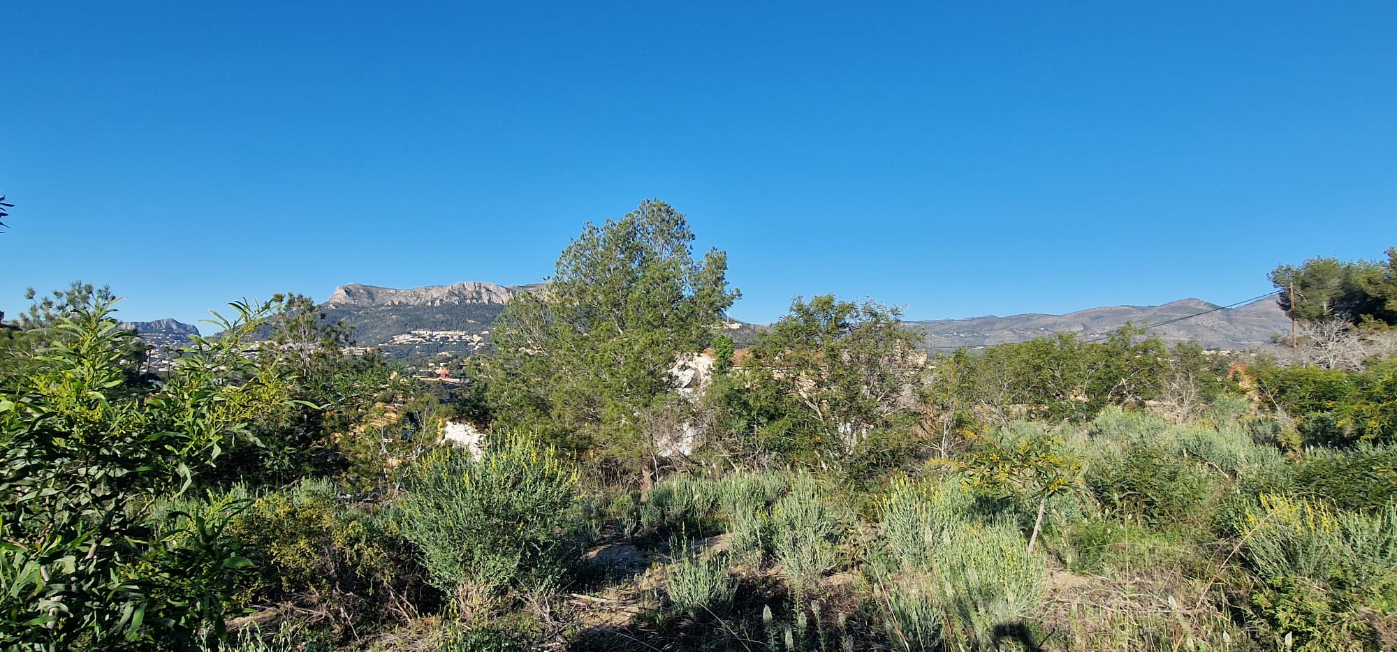 Grundstück zum verkauf in Calpe