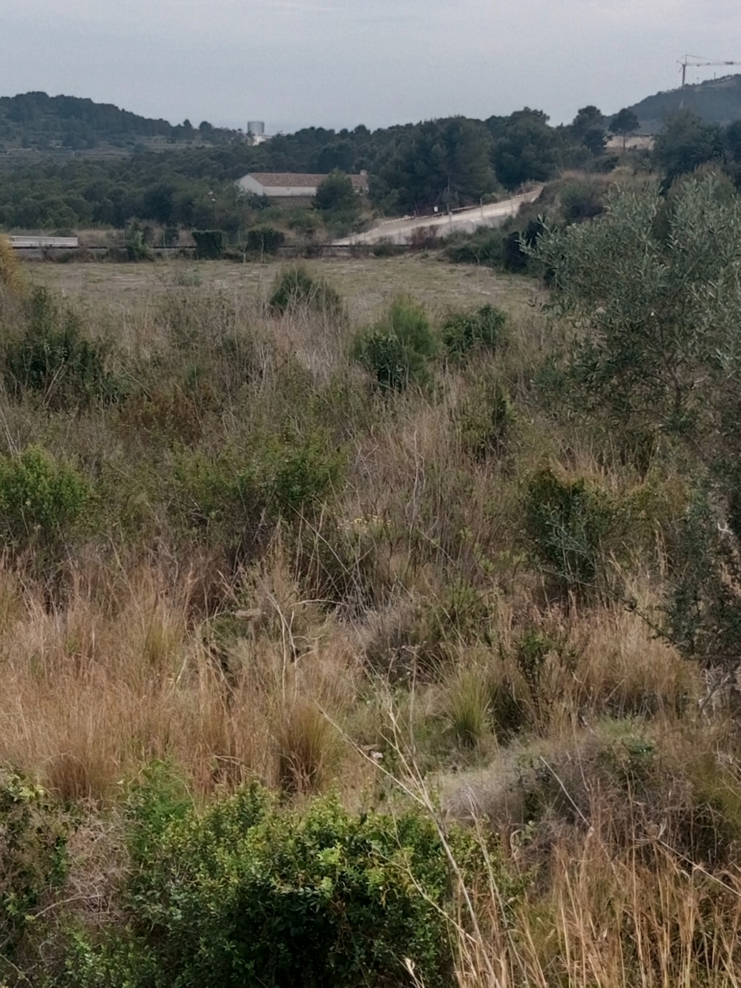  Parcela rustica en venta directa con Plusvillas -C3- Parcela rustica edificable en Benissa 