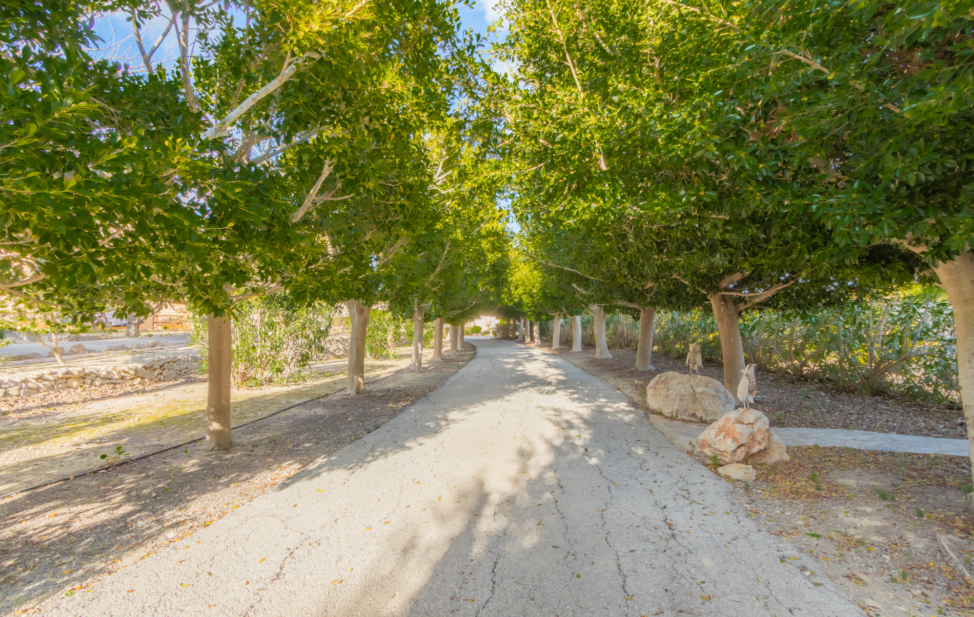 Villa de 5 dormitorios en Benissa