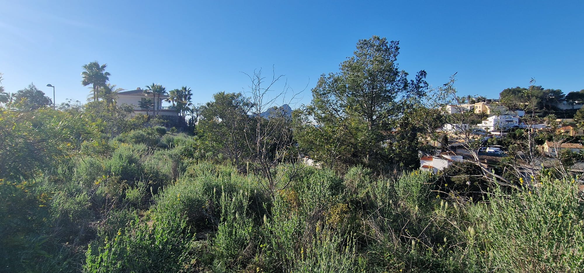Grundstück zum verkauf in Calpe
