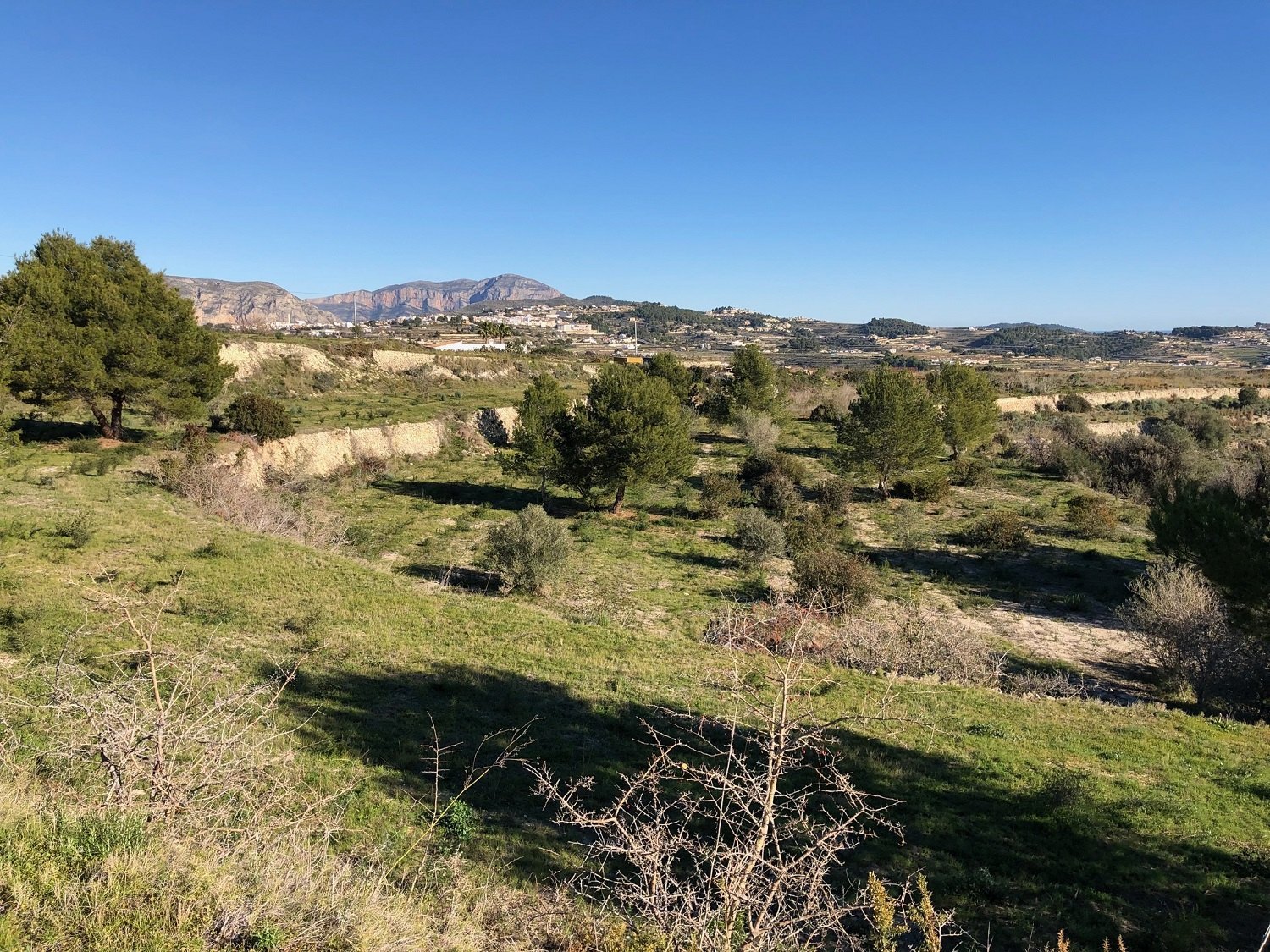  Parcela en venta directa con Plusvillas – C6025* – Parcela de 18127 m2 en Teulada, (Costa Blanca), zona  