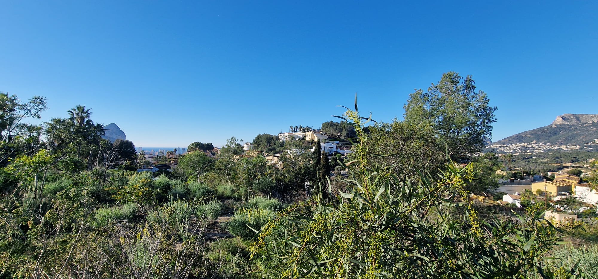 Grundstück zum verkauf in Calpe