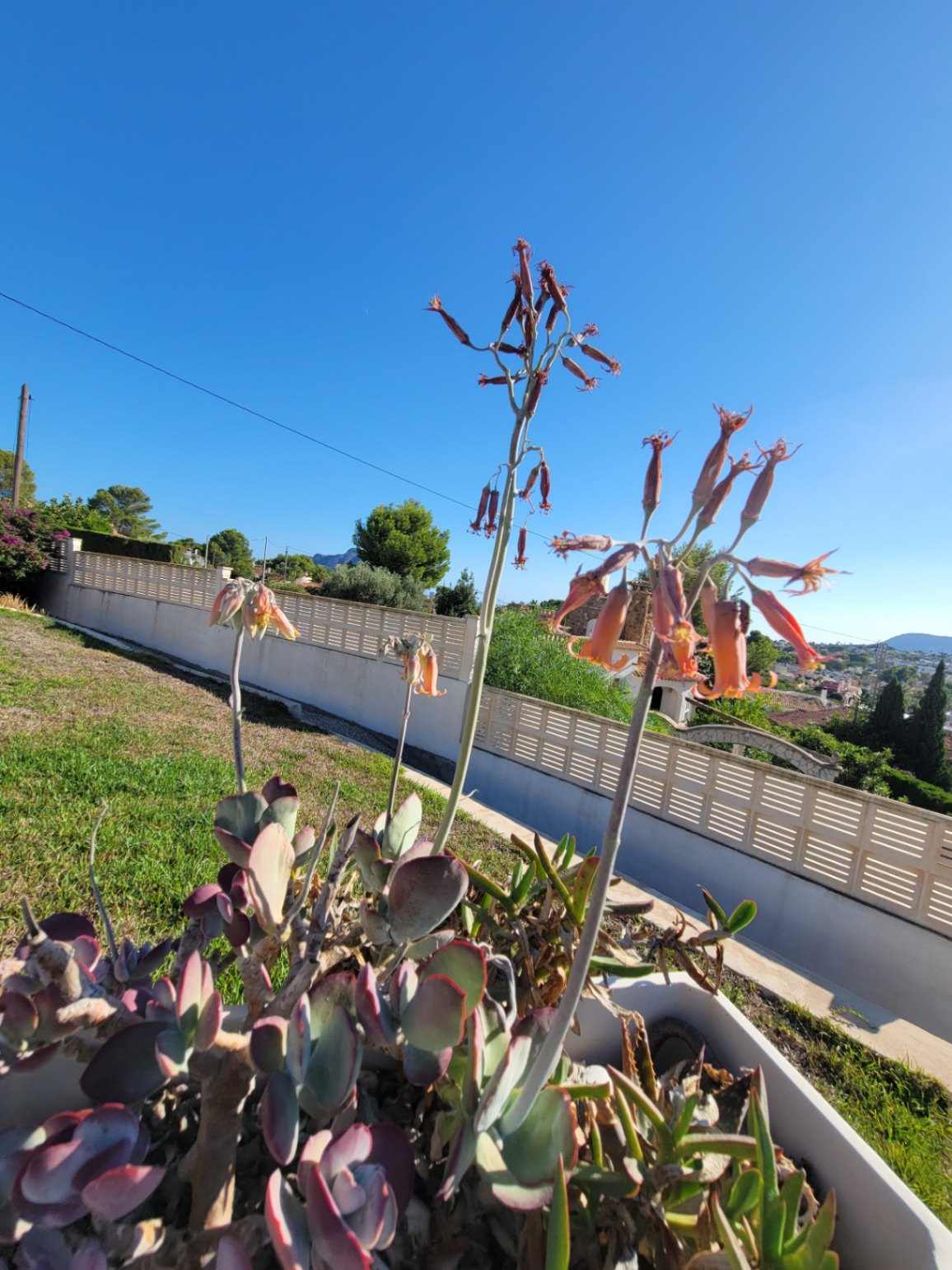  Chalet en venta directa con Plusvillas – C34020* – Villa con 3 dormitorios y 3 baños en Calpe, (Costa Blanca), zona Gran Sol 