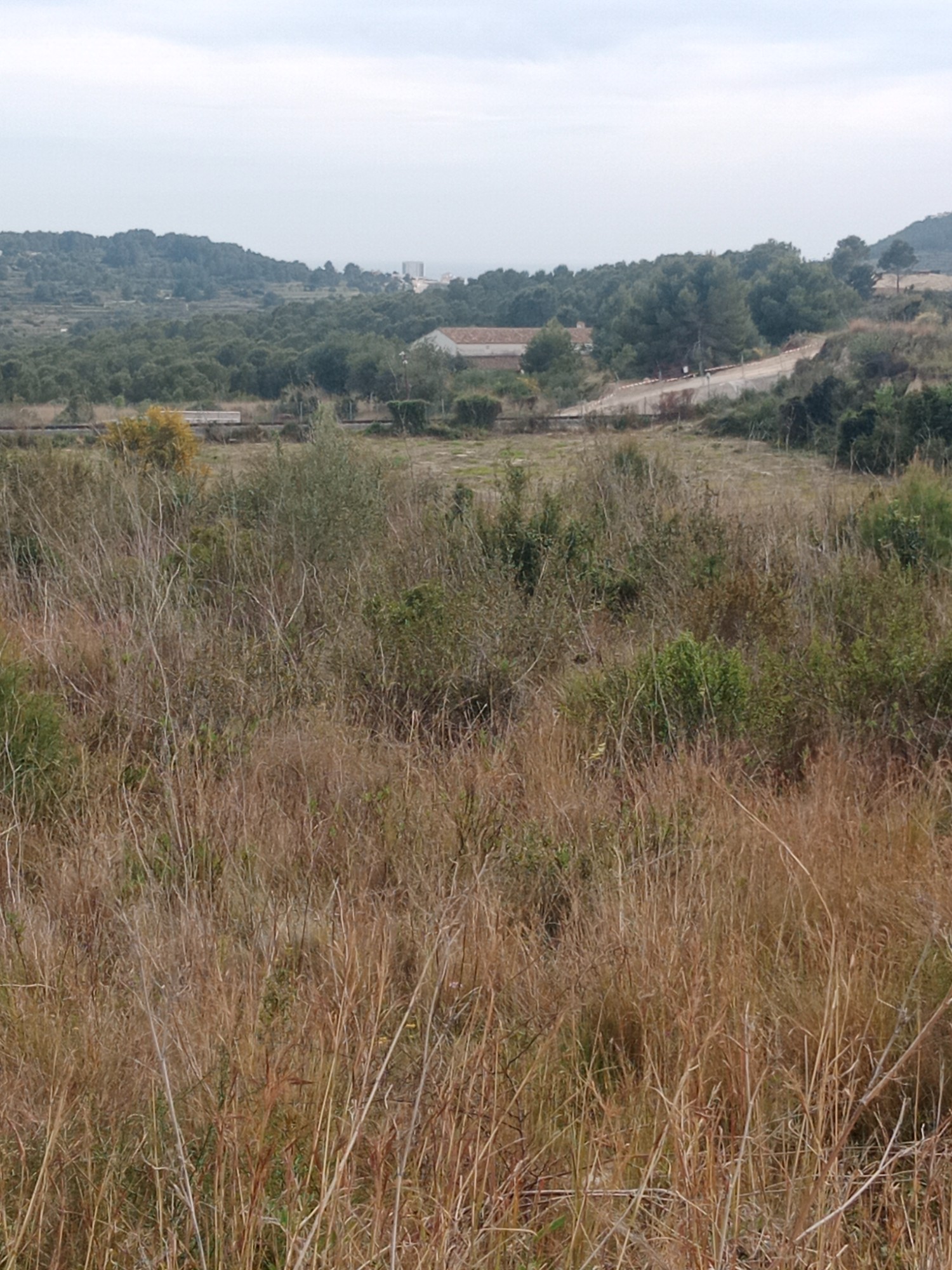  Parcela rustica en venta directa con Plusvillas -C3- Parcela rustica edificable en Benissa 